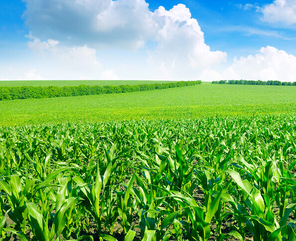 Agriculture & Construction Understanding Image